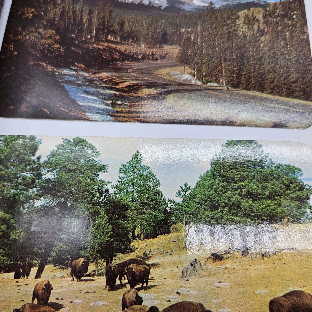 📬 Lot of 11 Various Vintage Unused Postcards Colorado USA